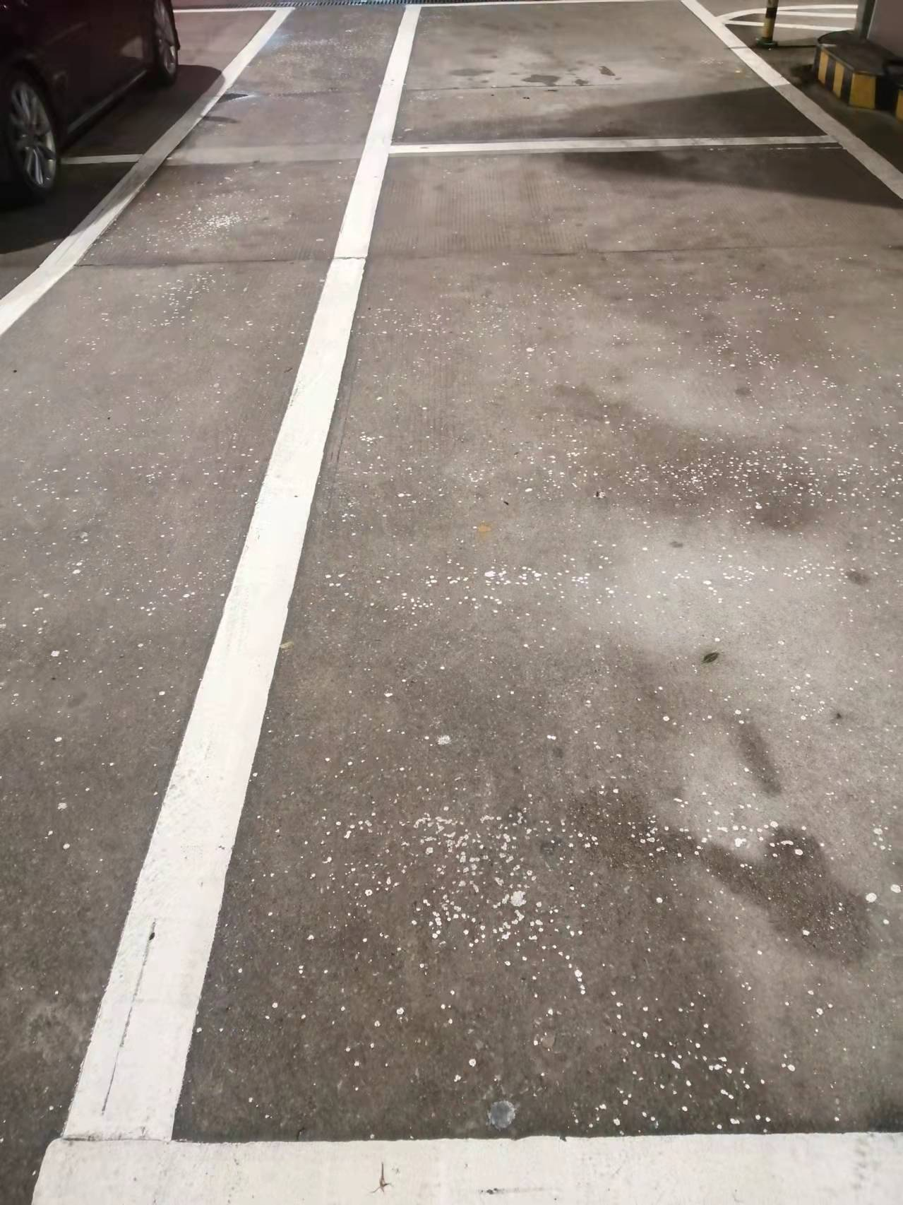 1654762402896265.png 圖片1.png